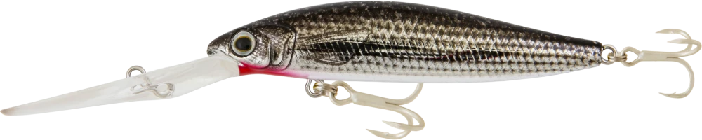 Samaki Redic DS100 - Image 11