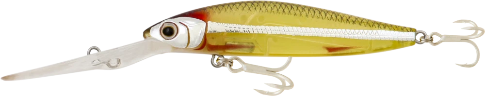 Samaki Redic DS100