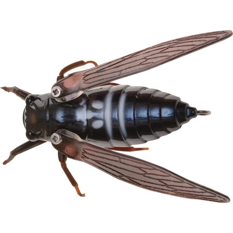 Jackson Namazemi Cicada-ABZ