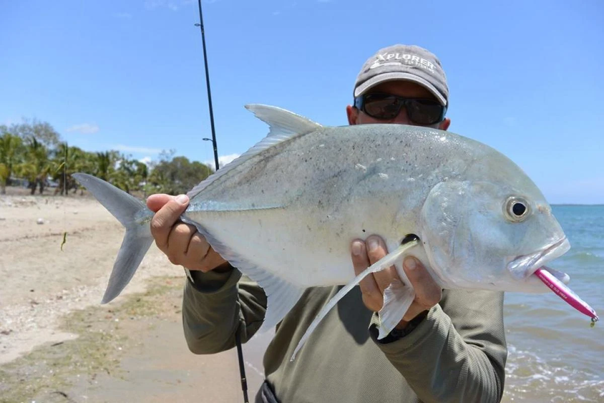 Fish Inc. Flanker 7 115mm Sinking Stick Bait - Image 6