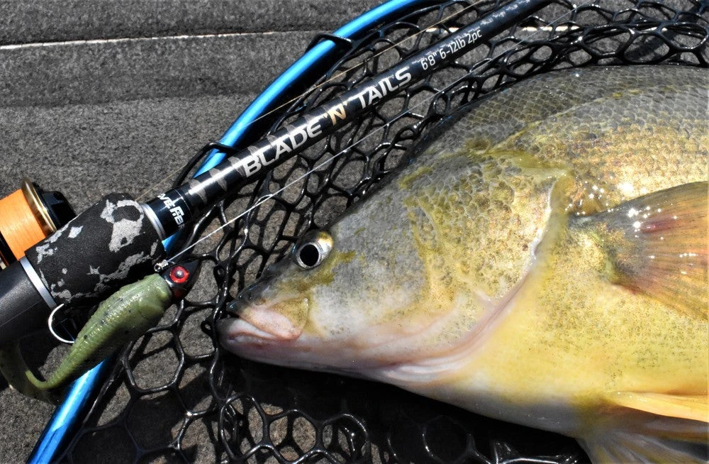 Live Fibre Blade N Tails - Image 3