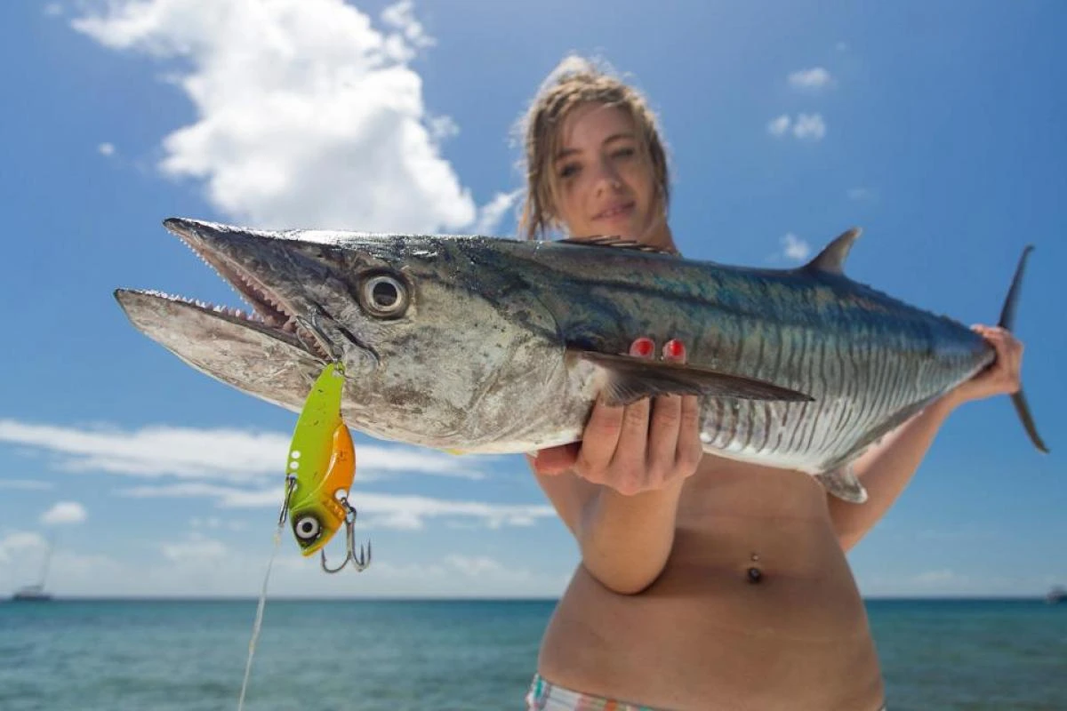 TT Switchblade HD Vibe - Image 4