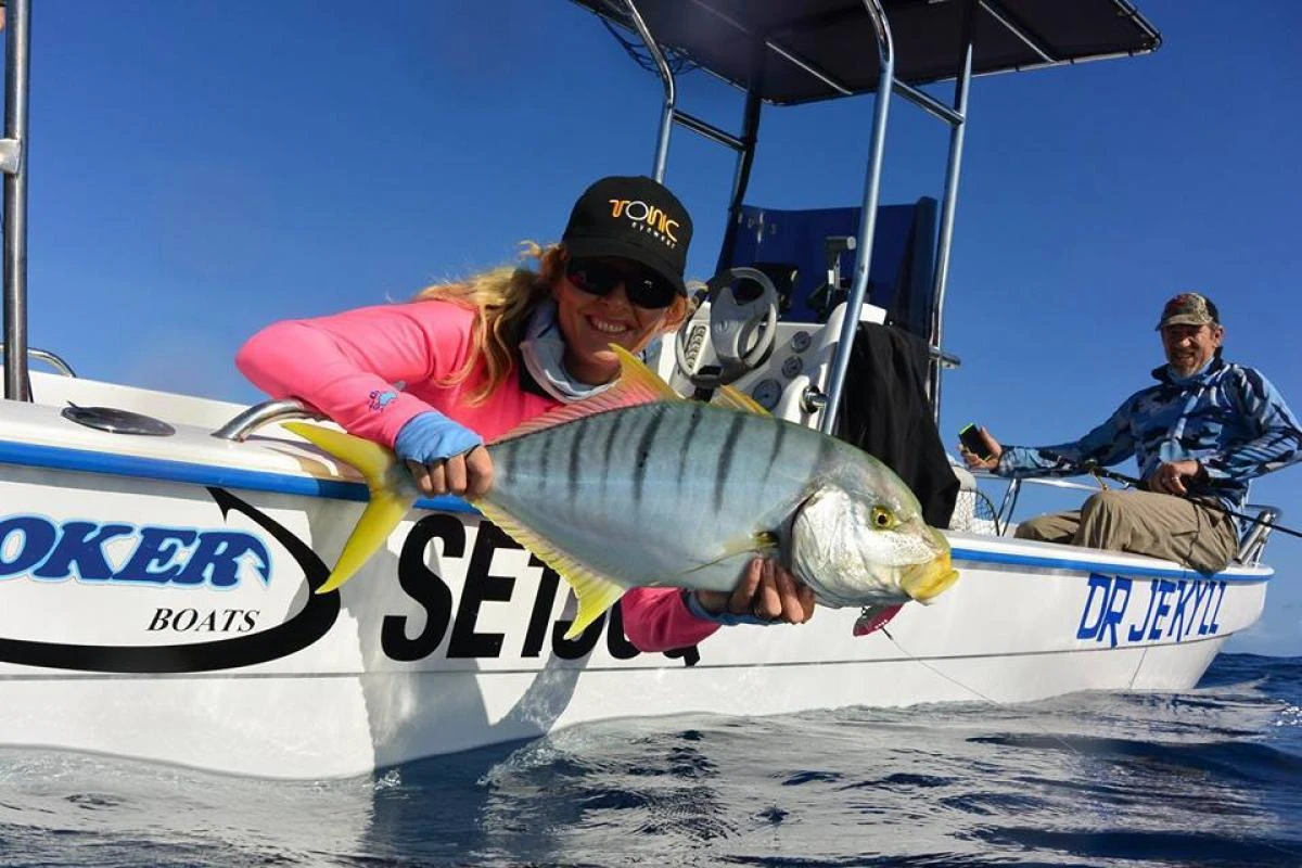 TT Switchblade HD Vibe - Image 5