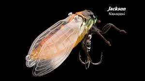 Jackson Namazemi Cicada-ABZ - Image 3