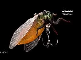 Jackson Namazemi Cicada-ABZ - Image 2